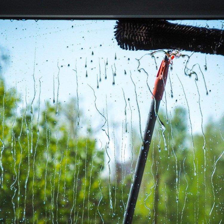 Exterior Home Cleaning in Sonoma, CA